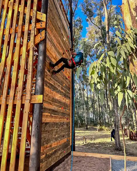 Chimp and Zee - ART Farm - Harare, Zimbabwe