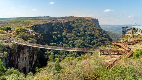 Chimp & Zee - Suspension Bridge at Graskop Gorge