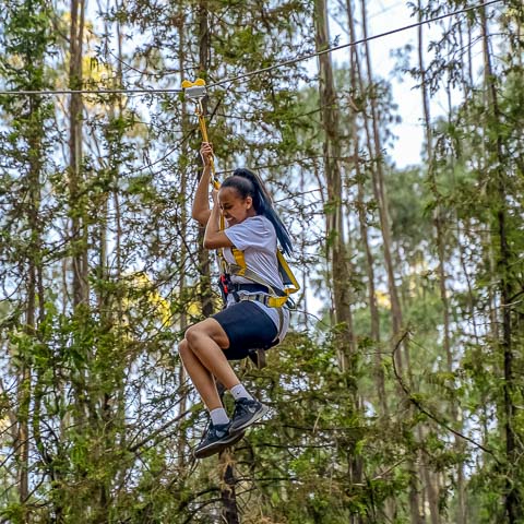 Chimp & Zee - Zipline Kuriftu Resort Entoto